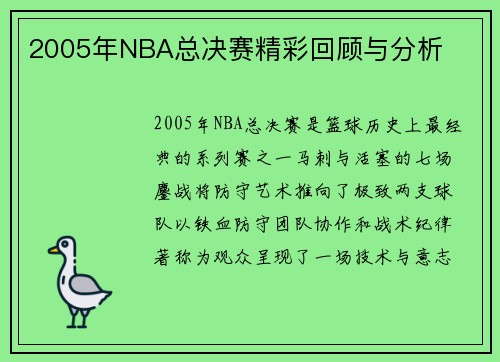 2005年NBA总决赛精彩回顾与分析